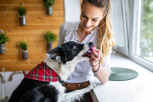Happy woman playing with her dog at home. People pet lifestyle concept