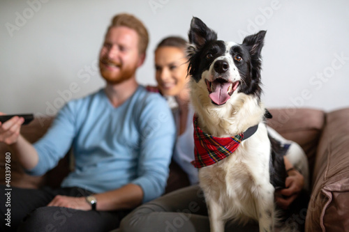 Beautiful couple relaxing at home and loving their pet