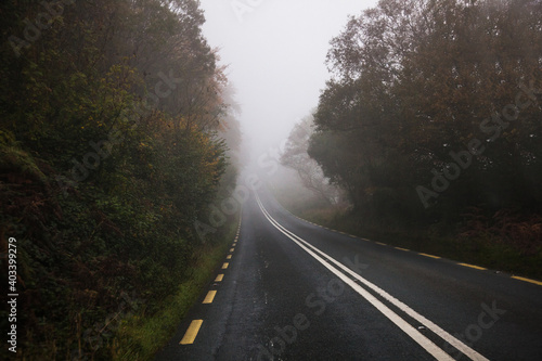 irish road in the fog