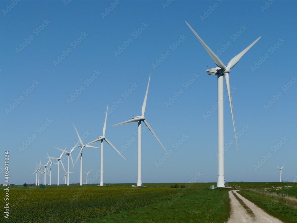 Reihe Windräder auf grüner Wiese mit Feldweg