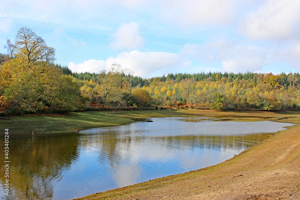 Reflections in Trenchford Reservoir, Devon, in Autumn Reflections in Trenchford Reservoir, Devon, in Autumn
