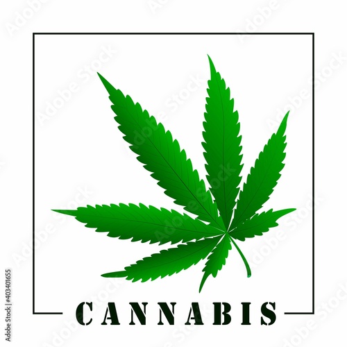 Marihuana leaf and cannabis signature. Design element. Vector.