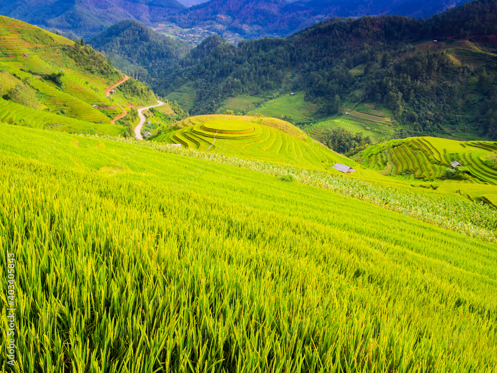 Obraz premium Mu Cang Chai typical landscape with lush terraced rice fields, Yen Bai Province, northern Vietnam 