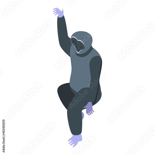 Black gibbon icon. Isometric of black gibbon vector icon for web design isolated on white background