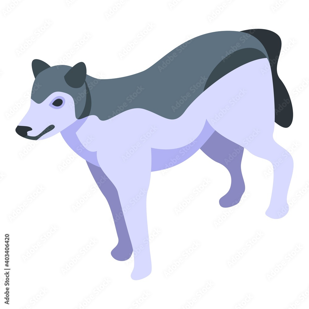 Husky wolf icon. Isometric of husky wolf vector icon for web design isolated on white background Husky wolf icon. Isometric of husky wolf vector icon for web design isolated on white background