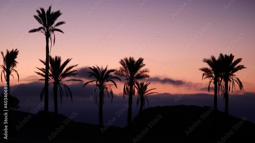 Landscape with palm trees in Sierra Alhamilla mountain range, Spain. Early morning, first light. Landscape with palm trees in Sierra Alhamilla mountain range, Spain. Early morning, first light.