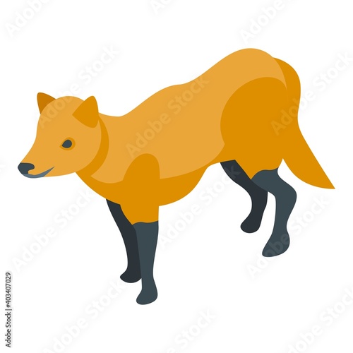 Cute fox icon. Isometric of cute fox vector icon for web design isolated on white background