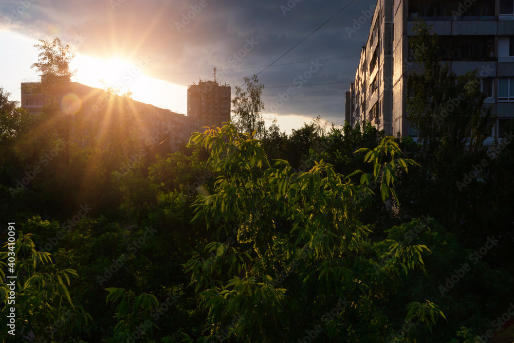 The rays of the setting sun on the background of city buildings and tree leaves.
