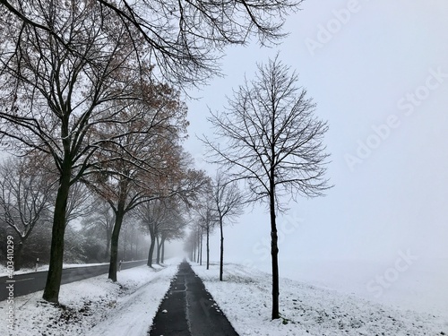 Winterlandschaft bei Helmstedt / Harbke / Marienborn (Niedersachsen, Sachsen-Anhalt) photo