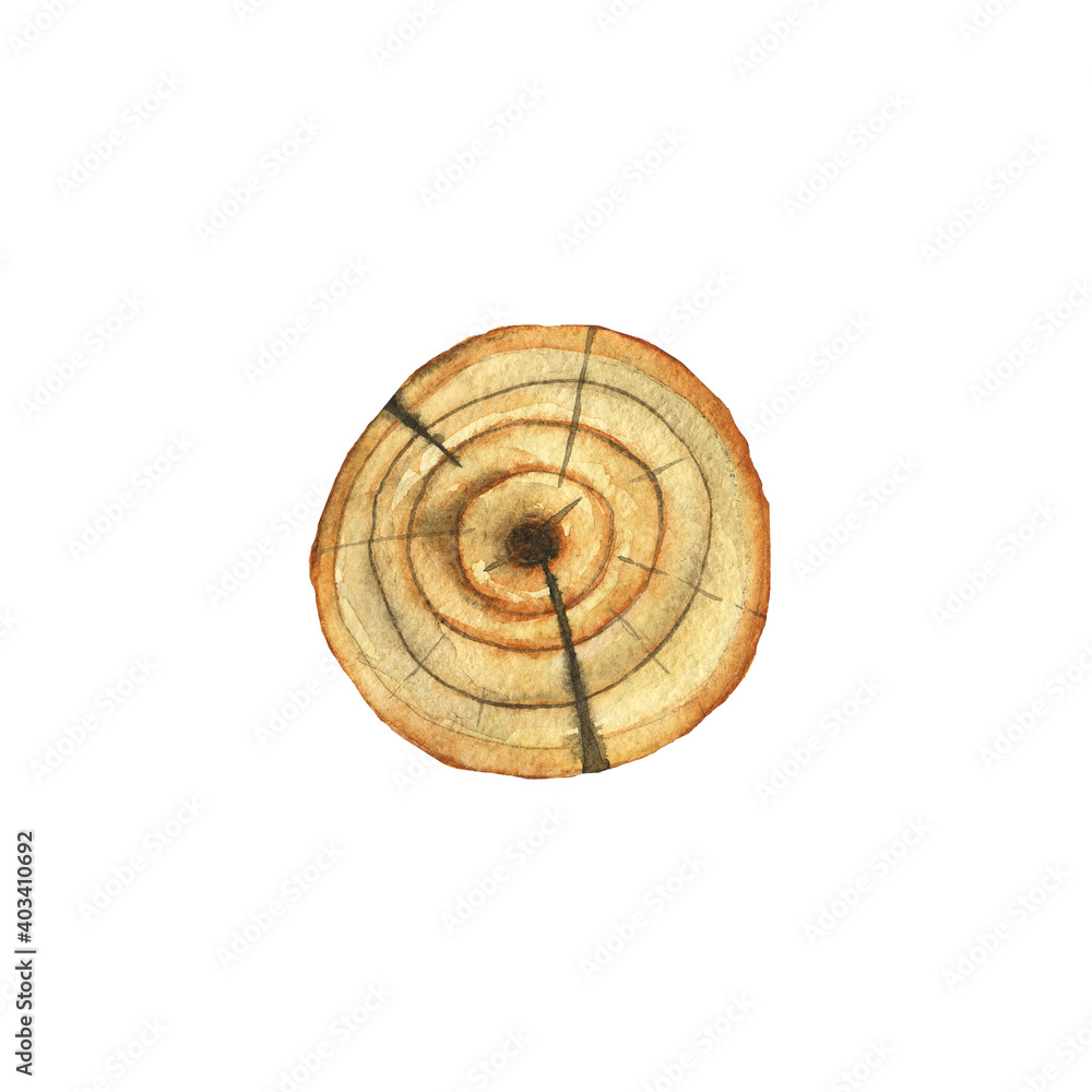 Wooden stump or wood round texture isolated on white background. Watercolor hand drawing illustration. Top view. Perfect for print, card, design. Wooden stump or wood round texture isolated on white background. Watercolor hand drawing illustration. Top view. Perfect for print, card, design.