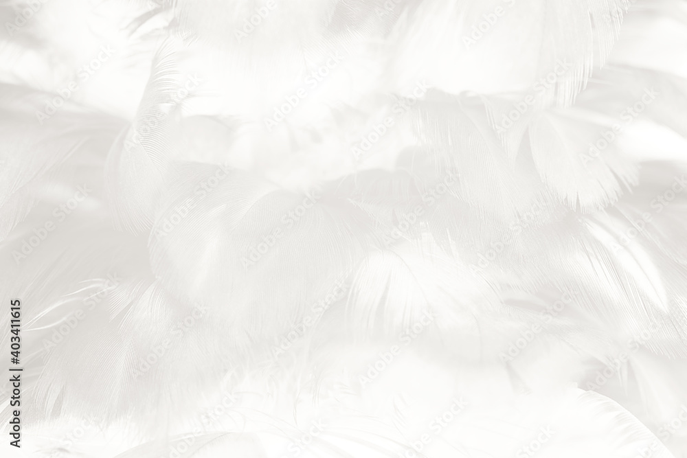Fototapeta premium white feather texture background,pastel soft fur for baby to sleep.