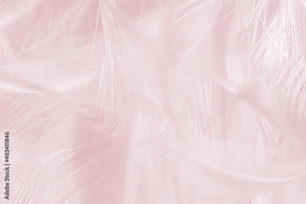 Fototapeta premium Beautiful violet feather pattern texture background , pastel color style