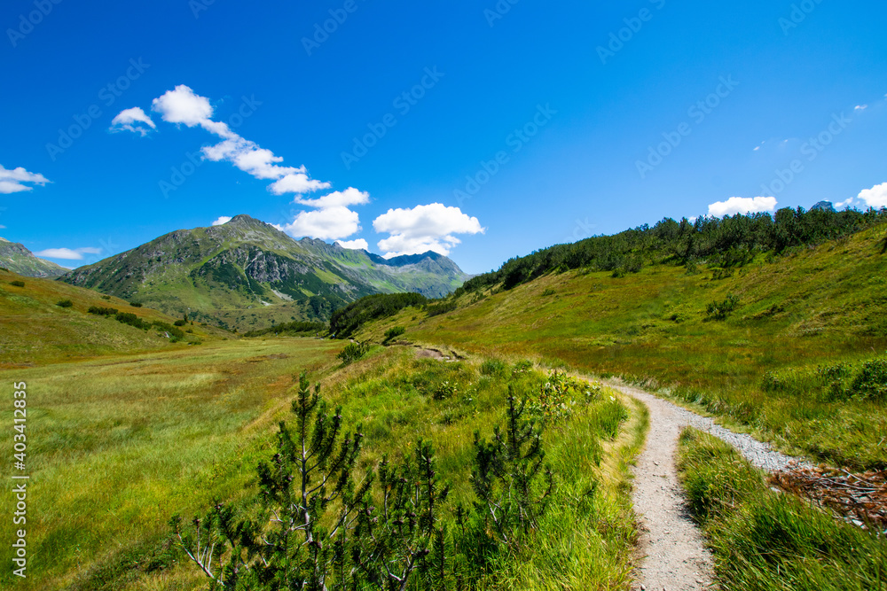 path in the mountains (Wiegensee, Vorarlberg, Austria)