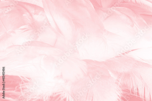 Beautiful light pink feather pattern texture background