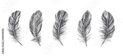 Feathers, Hand drawn style sketch illustrations.	