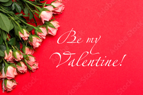 Pink roses on red background, Valentines Day background, cpoy space, top view photo