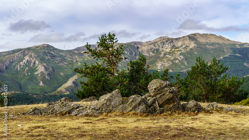 Landscape of rocks with green plants, dramatic sky with clouds and distant mountains.
 photo