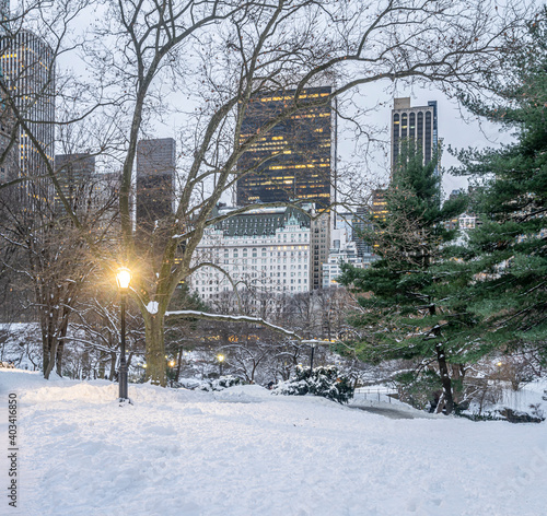 Central Park in winter  bow bridge © John Anderson