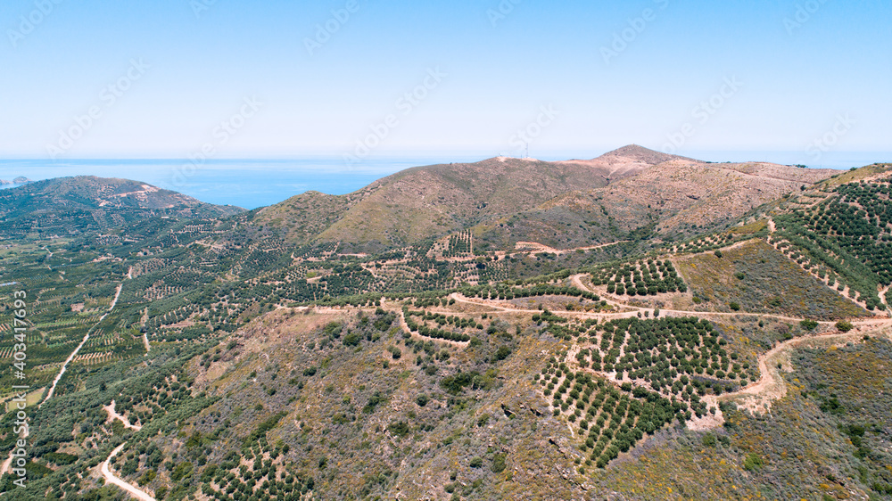 Beautiful landscape of the island from a bird's-eye view. Plantations of olive trees in the mountains and the sea.