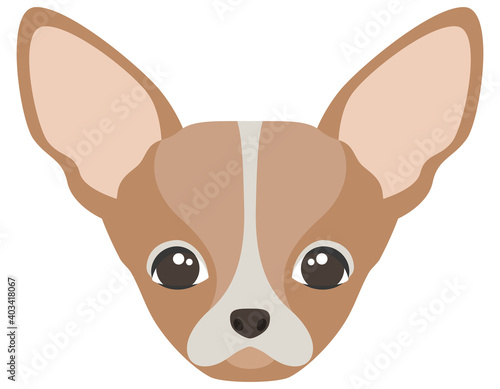 Head of Chihuahua. Cute pet in cartoon style.
