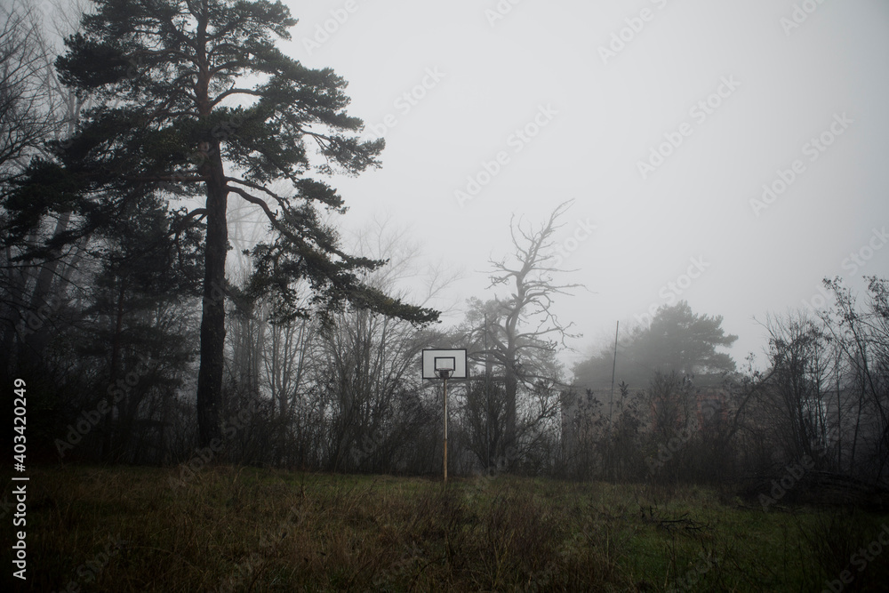 An abandoned basket in the middle of a forest on a cloudy day. An abandoned basket in the middle of a forest on a cloudy day.