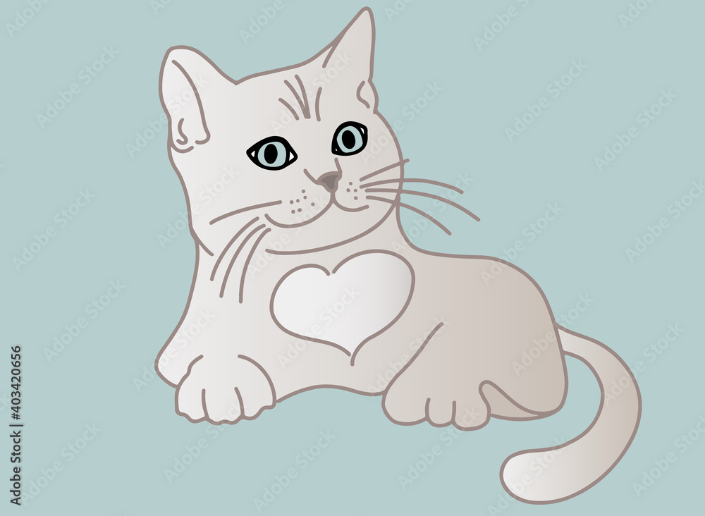 Obraz premium Grey Kitten sitting