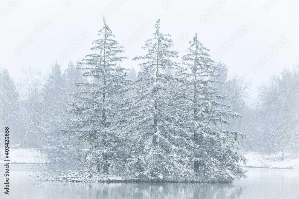 Insel mit drei Fichten im Schneesturm
Insel mit drei Fichten im Schneesturm