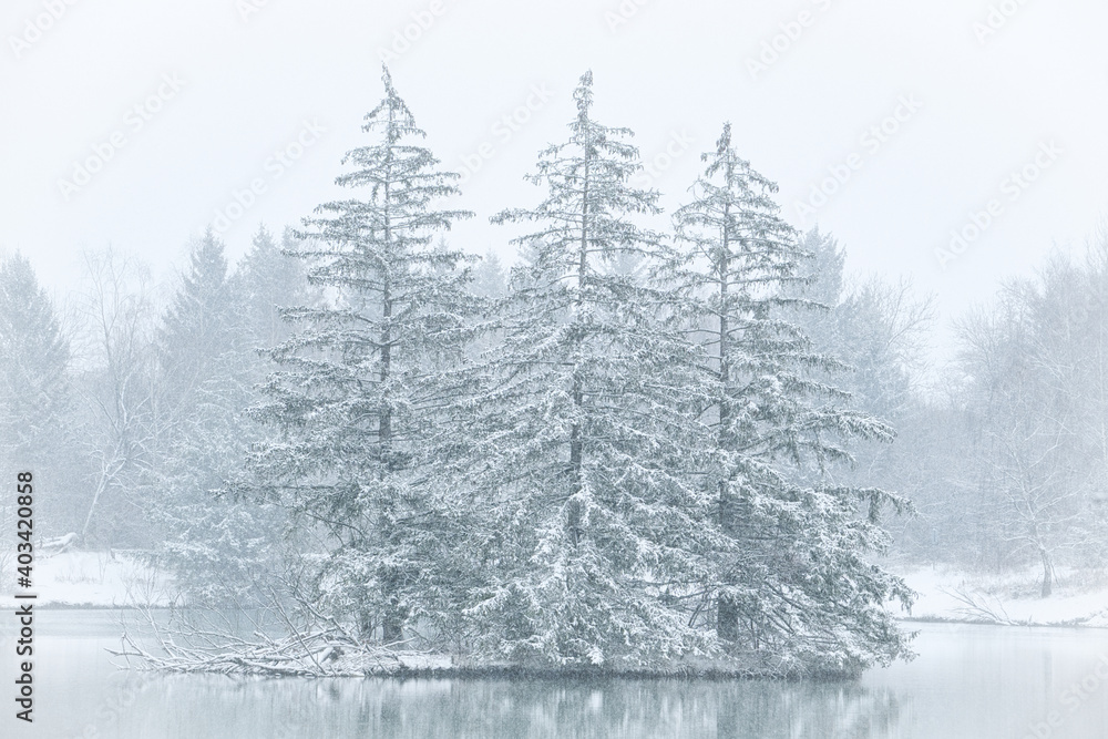 Insel mit drei Fichten im Schneesturm
