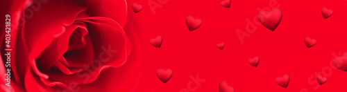 Horizontal banner background with a red rose on the left side and many little hearts . Valentines day. Copy space for your text.