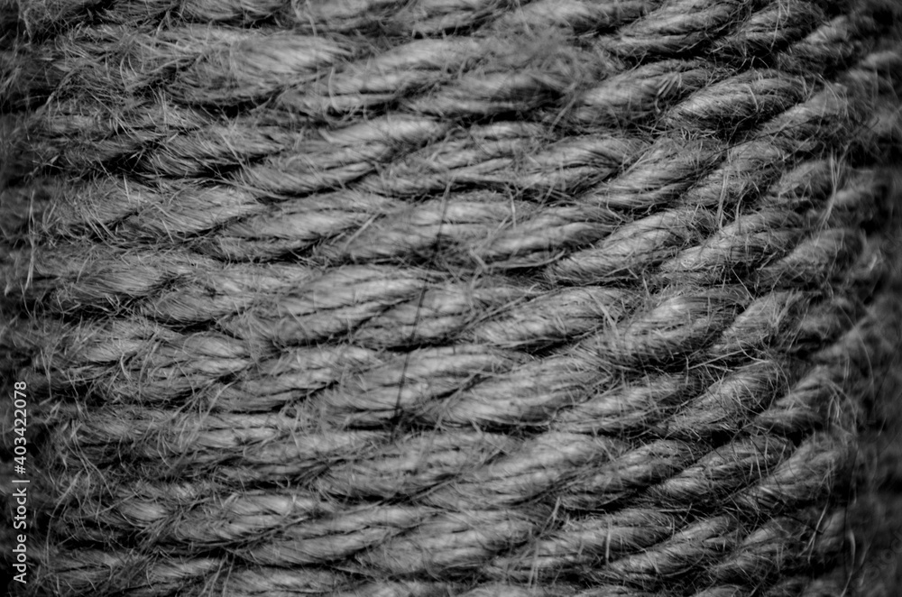 aesthetics of details aesthetics of details