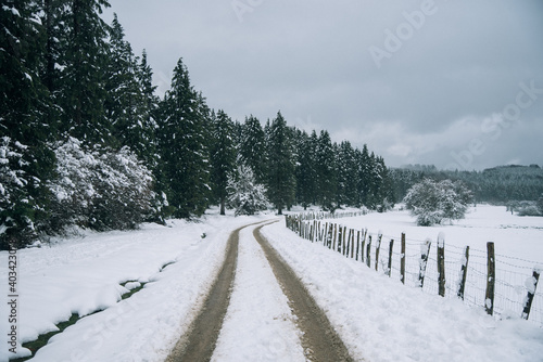 Camino en un monte con nieve con arboles a los lados y una valla de madera.  © Safi