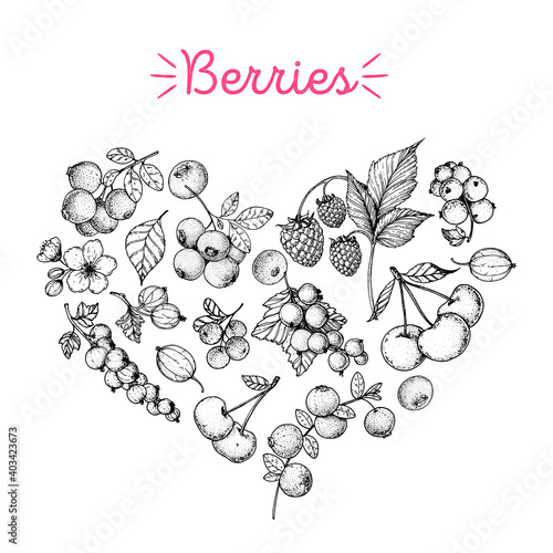 Set of berries in the form of heart. Berries hand drawn vector illustration. Berry sketch. Vector illustration. Black and white.