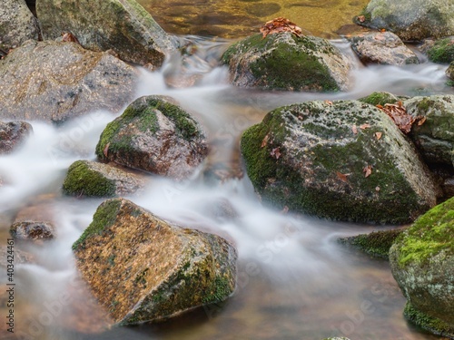  Rapids of a mountain stream with moss-covered stones and lichens