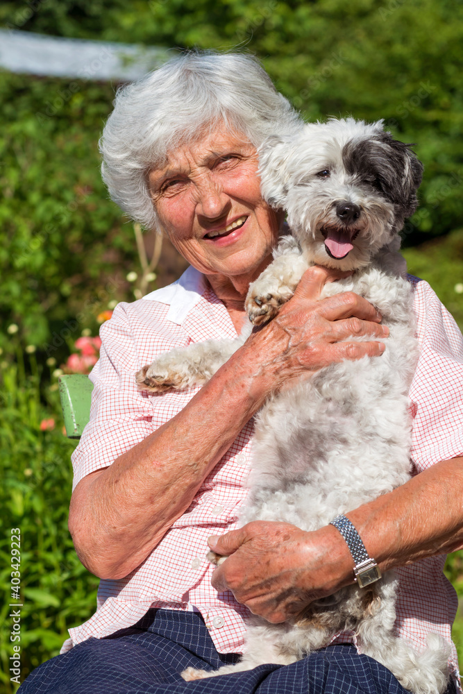 Happy Smiling Senior Woman Hugging her Havanese Dog Outdoor in the Nature Happy Smiling Senior Woman Hugging her Havanese Dog Outdoor in the Nature
