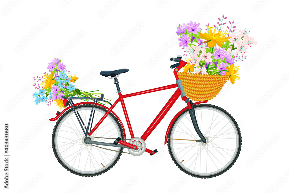 Fototapeta Rower z wiklinowym koszem kwiat na białym tle. Romantyczny czerwony rower niosący bukiet wiosennych kwiatów. Kwiaciarnie i dostawa kwiatów. Stockowa ilustracja wektorowa