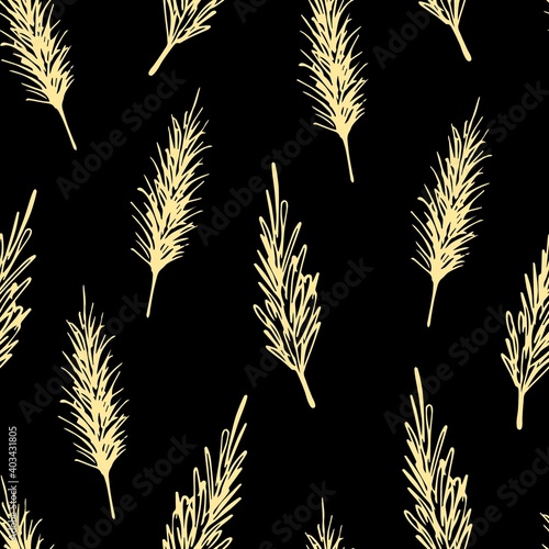 Hand-drawn simple floral vector seamless pattern. Light beige panicles inflorescence of pampas grass on a black background. For print fabrics, textile products, boho decor.
