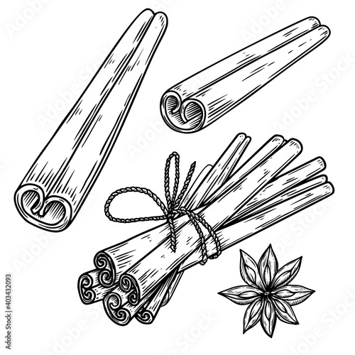 Illustration of cinnamon in engraving style. Design element for emblem, sign, poster, card, banner, flyer. Vector illustration