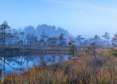 misty swamp landscape with swamp pines and traditional swamp vegetation, blurred human silhouette in fog, blurred background, fog in bog, twilight
