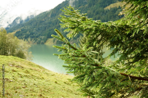 Landscape photography with conifer at alpine lake Durlaßboden in Austria