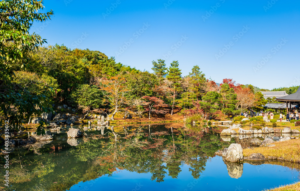 秋の京都　天龍寺　曹源池