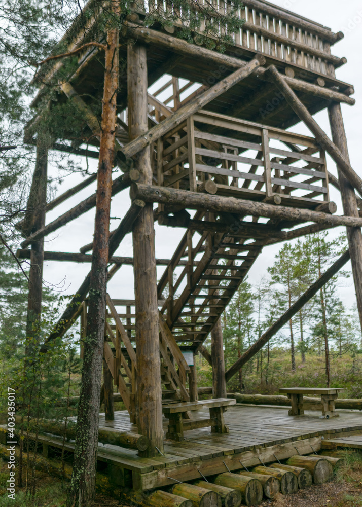 rainy day, rainy background, traditional bog landscape, wooden lookout tower in the bog, swamp grass and moss, small bog pines during rain, swamp in autumn rainy day, rainy background, traditional bog landscape, wooden lookout tower in the bog, swamp grass and moss, small bog pines during rain, swamp in autumn