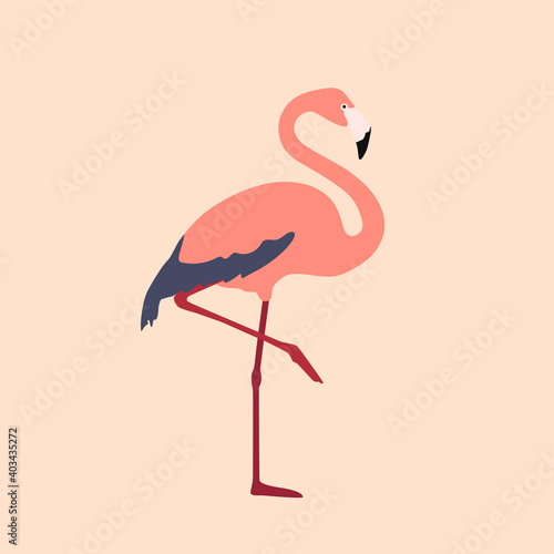 Pink flamingo. Bird. Colorful vector illustration in flat style