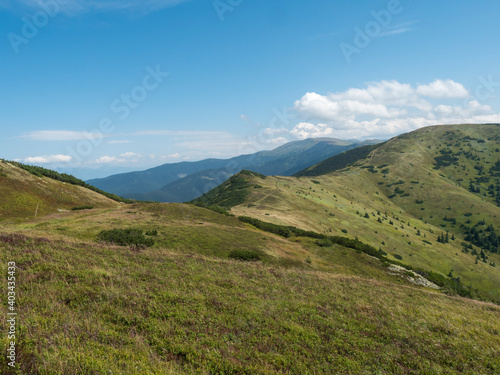 Grassy green hills and slopes at ridge of Low Tatras mountains with hiking trail footpath, mountain meadow, and pine scrub, Slovakia, summer sunny day, blue sky background