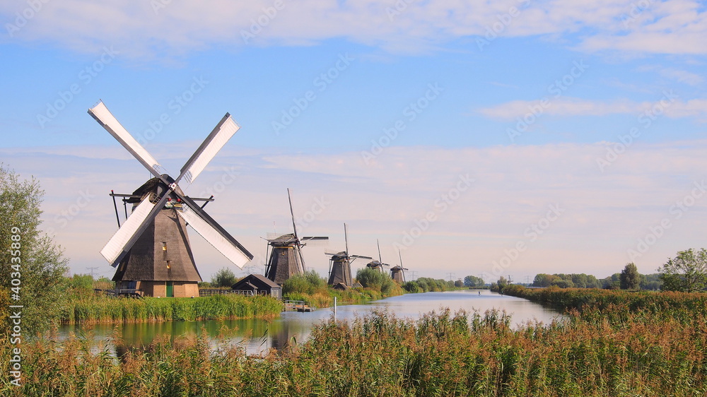windmills at the undesco world heritage site of kinderdijk in rotterdam, the netherlands - obrazy, fototapety, plakaty 