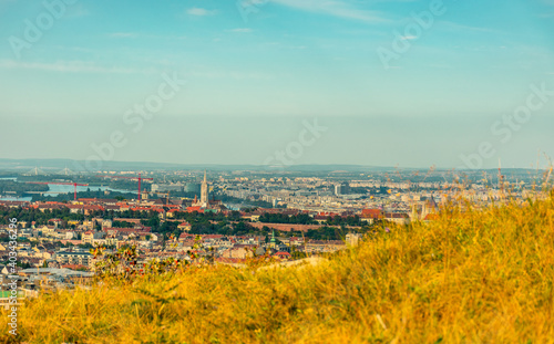 View of northern Budapest from the Sas-hegy in autumn.