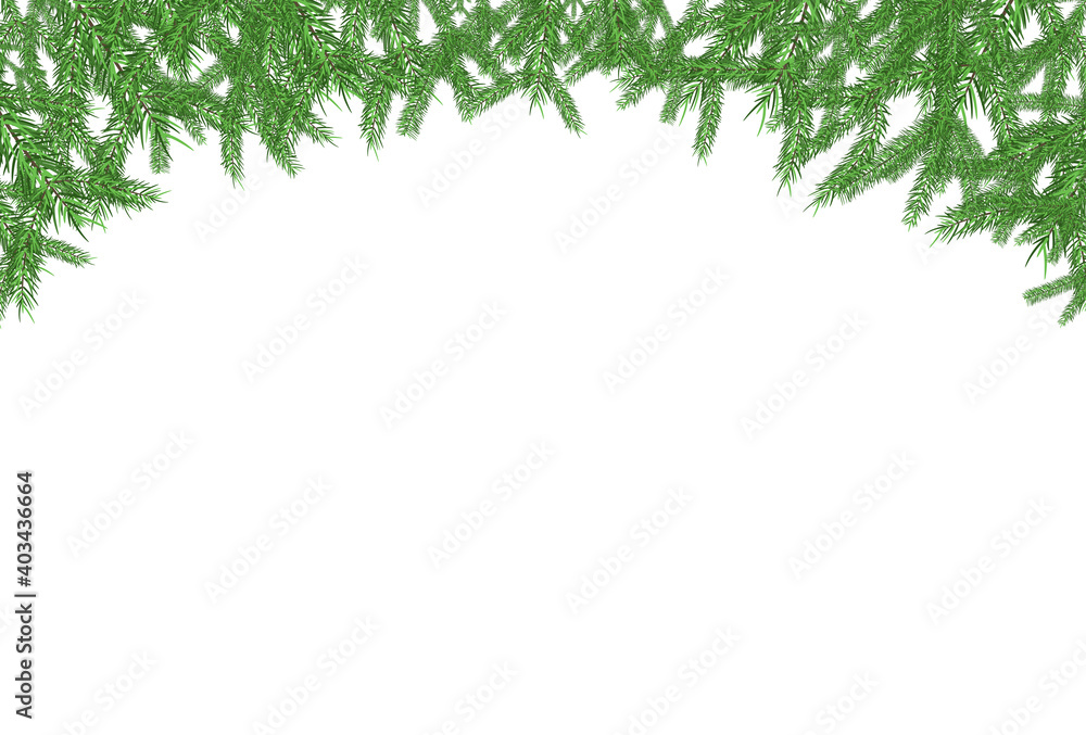 Green fir frame pattern isolated on white background vector design