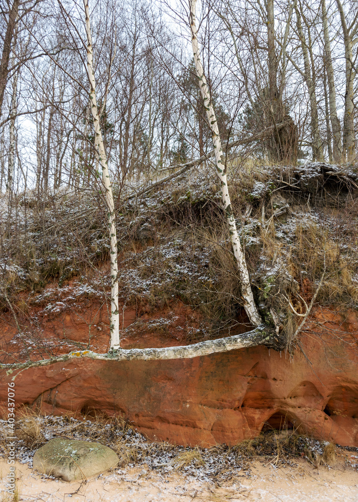 Obraz premium Sea cliff with Devonian sandstone outcrops. During the storm, niches and caves were washed away in the sandstones, sandstone columns were formed