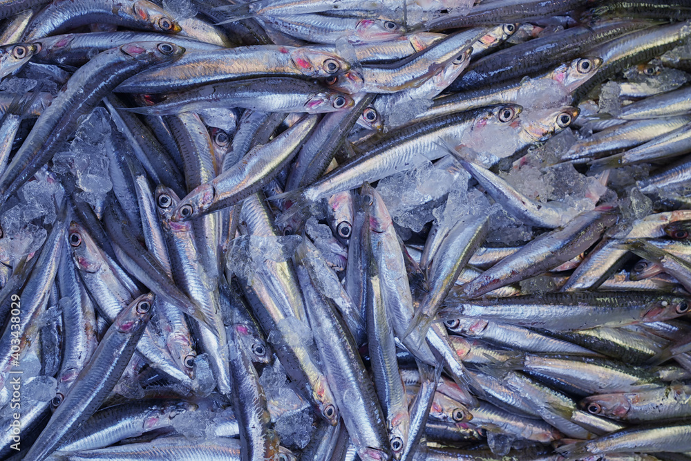 Fischmarkt Fischmarkt