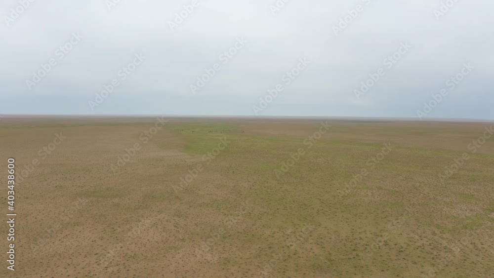 Sheep, goats, and animals are shot by drones in Mongolia at the end of the vast land Sheep, goats, and animals are shot by drones in Mongolia at the end of the vast land