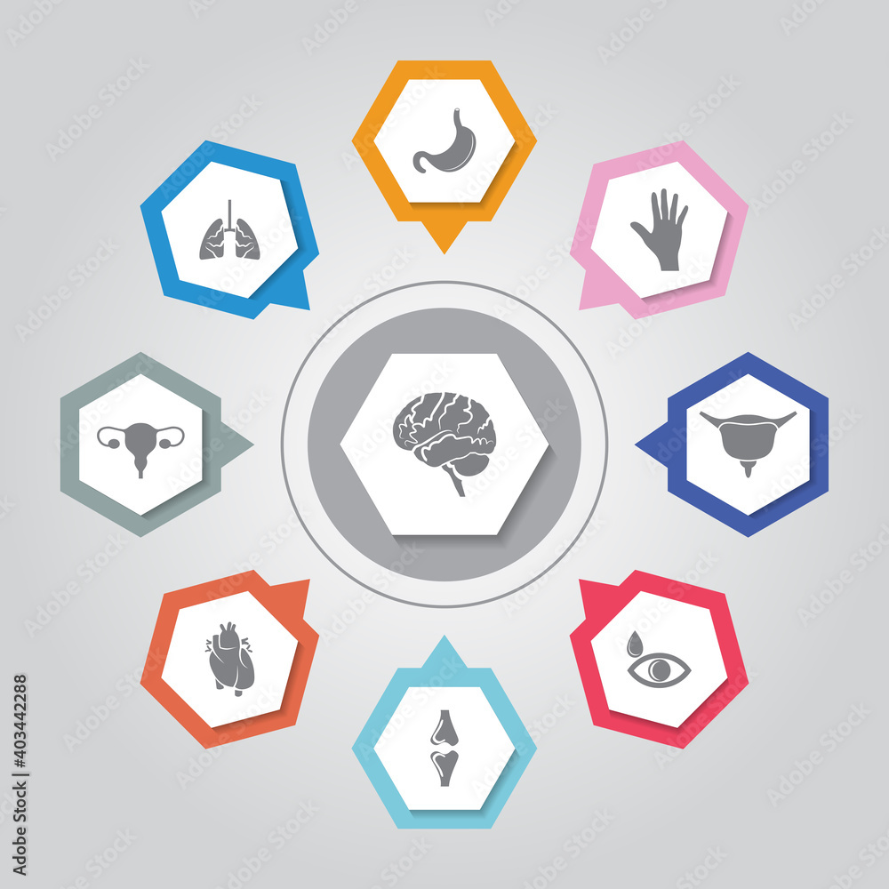 Human Organs Icon. Simple flat vector icons set on Gray Radiant background Human Organs Icon. Simple flat vector icons set on Gray Radiant background